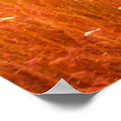 Fantastische woeste rivier met vers gras in de zon poster (Hoek)