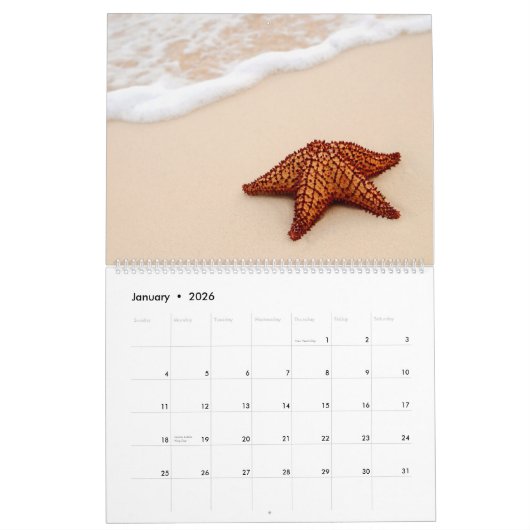 Fantastische zeester kalender (Jan 2026)