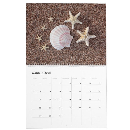 Fantastische zeester kalender (Mar 2026)