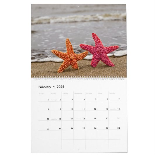 Fantastische zeester kalender (Feb 2026)