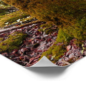 Fantasy Art Princess Forest Poster (Hoek)