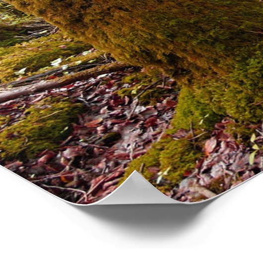 Fantasy Art Princess Forest Poster (Hoek)