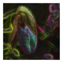 Fantasy Blue Abstract Lady Slipper Flower