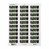 Fantasy bosdieren betoverd feest etiket (Full Sheet)