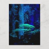 Fantasy Briefkaart (Voorkant)