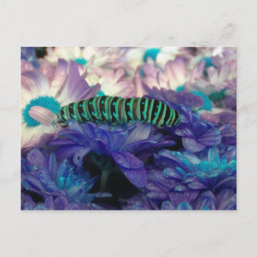 Fantasy Caterpillar Briefkaart (Voorkant)
