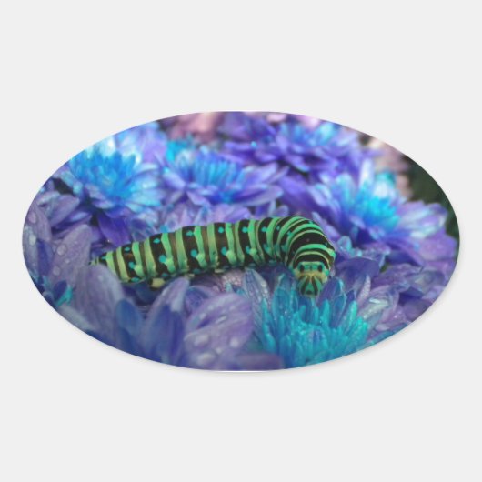 Fantasy Caterstyle Sticker (Voorkant)