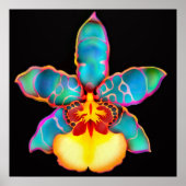 Fantasy Colored Orchid Flower Poster (Voorkant)