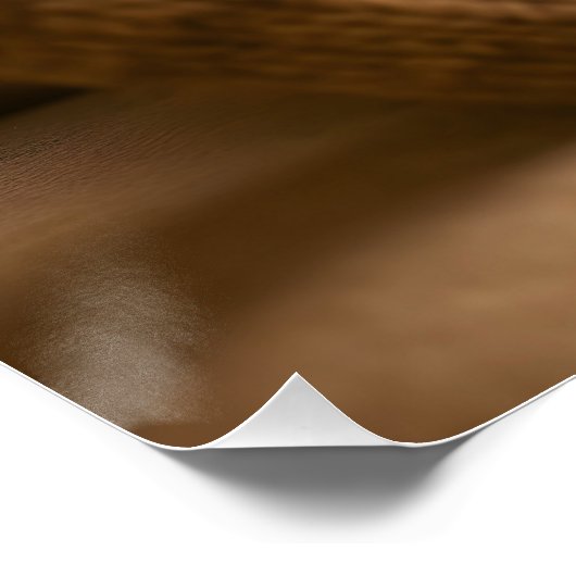 Fantasy Cute Fox And Socks Perfect Poster (Hoek)