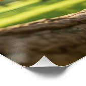 Fantasy Cute Happy Squirrel Forest Perfect Poster (Hoek)