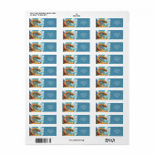 Fantasy Cute Oranje Draak Bergen Etiket (Full Sheet)