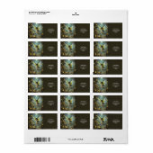 Fantasy Cute Pixie Butterfly Wings Etiket (Full Sheet)