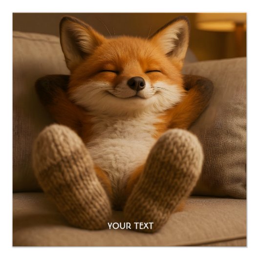 Fantasy Cute Vos En Sokken Perfect Poster (Voorkant)