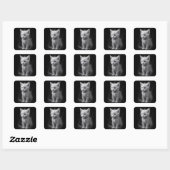 Fantasy Cute Witte Rook Kitten Vierkante Sticker (Vel)