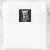 Fantasy Cute Witte Rook Kitten Vierkante Sticker (Tas)