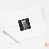 Fantasy Cute Witte Rook Kitten Vierkante Sticker (Envelop)