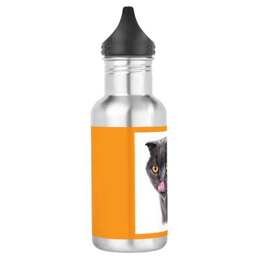 Fantasy Double Headed Mutant Black Cat Waterfles (Links)