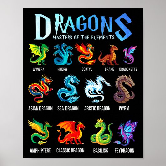 Fantasy draak types draken meesters van de poster (Voorkant)