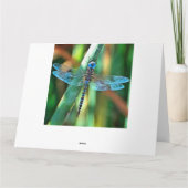 Fantasy Dragonfly in Turquoise en Black Bedankkaart (Achterkant)