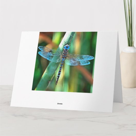 Fantasy Dragonfly in Turquoise en Black Bedankkaart (Achterkant)