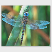Fantasy Dragonfly in Turquoise en Black Cadeaupapier (Vlak)