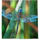 Fantasy Dragonfly in Turquoise en Black Douchegordijn (Voorkant)