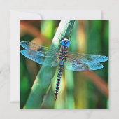 Fantasy Dragonfly in Turquoise en Black Feestdagenkaart (Voorkant)