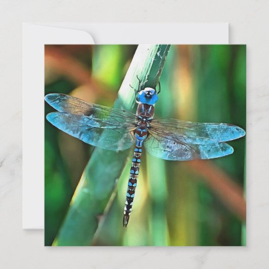 Fantasy Dragonfly in Turquoise en Black Feestdagenkaart (Voorkant)