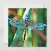 Fantasy Dragonfly in Turquoise en Black Feestdagenkaart (Achterkant)