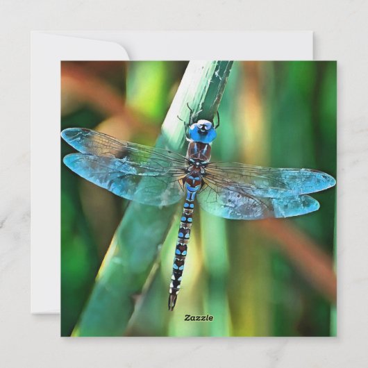 Fantasy Dragonfly in Turquoise en Black Feestdagenkaart (Achterkant)
