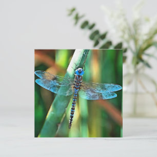 Fantasy Dragonfly in Turquoise en Black Feestdagenkaart