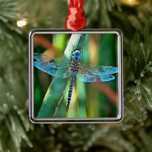 Fantasy Dragonfly in Turquoise en Black Metalen Ornament (Boom)