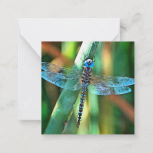 Fantasy Dragonfly in Turquoise en Black Notitiekaartje