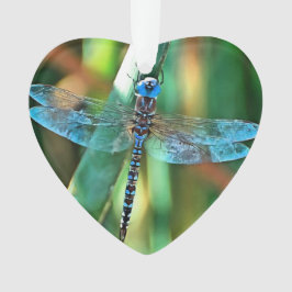 Fantasy Dragonfly in Turquoise en Black Ornament