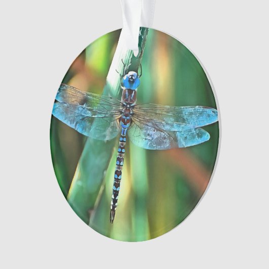 Fantasy Dragonfly in Turquoise en Black Ornament (voorkant)