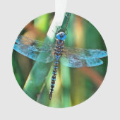 Fantasy Dragonfly in Turquoise en Black Ornament (voorkant)