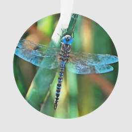 Fantasy Dragonfly in Turquoise en Black Ornament