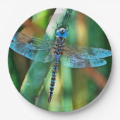 Fantasy Dragonfly in Turquoise en Black Papieren Bordje (Voorkant)