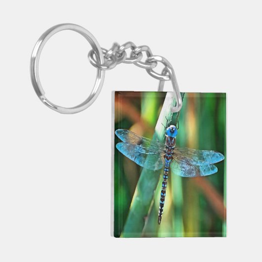 Fantasy Dragonfly in Turquoise en Black Sleutelhanger (Voorkant Links)