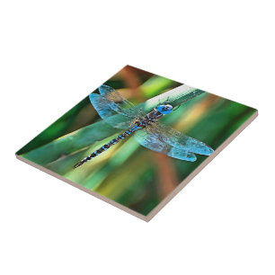 Fantasy Dragonfly in Turquoise en Black Tegeltje