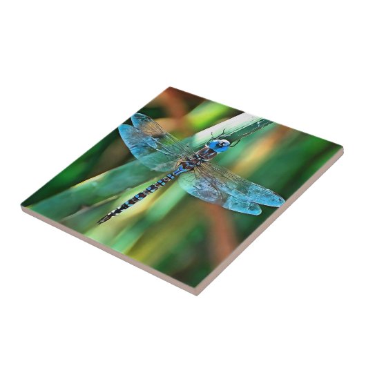 Fantasy Dragonfly in Turquoise en Black Tegeltje (Zijkant)