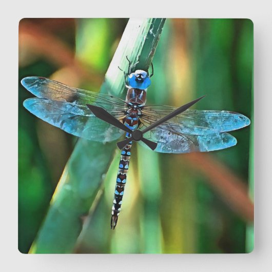 Fantasy Dragonfly in Turquoise en Black Vierkante Klok (Voorkant)