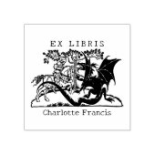 Fantasy Draken Krijger, Vintage Ex Libris Boek Rubberstempel (Afrduk)