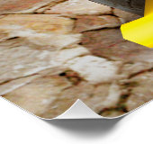 Fantasy Draken Prinses Digitale Kunst Perfect Poster (Hoek)