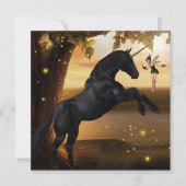 Fantasy Fairy en Black Unicorn (Voorkant)