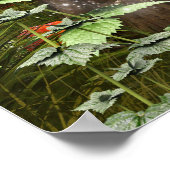 Fantasy Fairy in het bos Poster (Hoek)