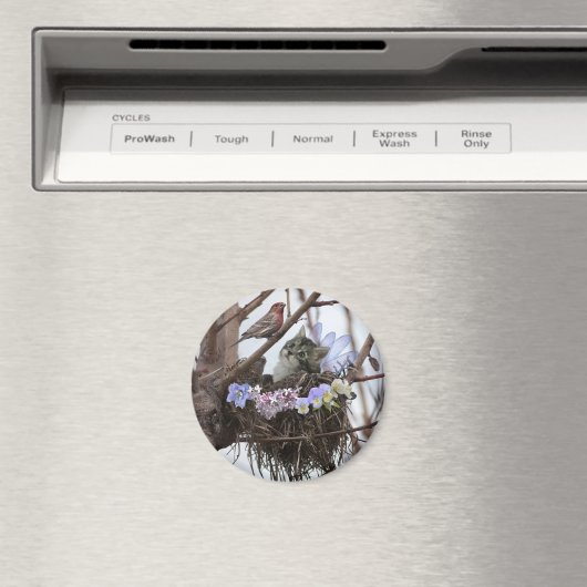 Fantasy fee kitten en vogelnest magneet (Insitu (Vaatwasser))