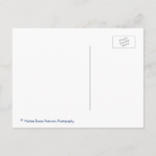 Fantasy Forest Celestial Bossen Night Stars Briefkaart (Achterkant)