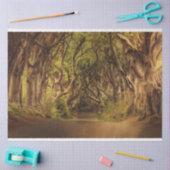 Fantasy Forest Gothic 20x30 deduplicatiepapier Tissuepapier (Craft)