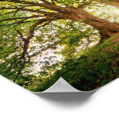 Fantasy Forest Poster (Hoek)